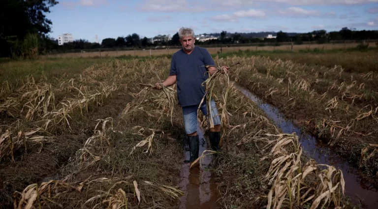 Agro do RS estima perdas de R$ 3 bi e 10 anos para uma recuperação.
